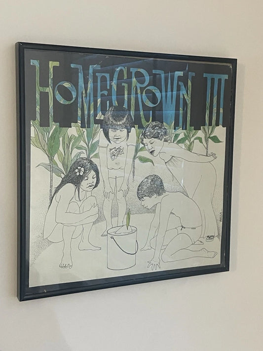 Framed Vinyl LP Cover Homegrown 3 Music Compilation Stoner Rock